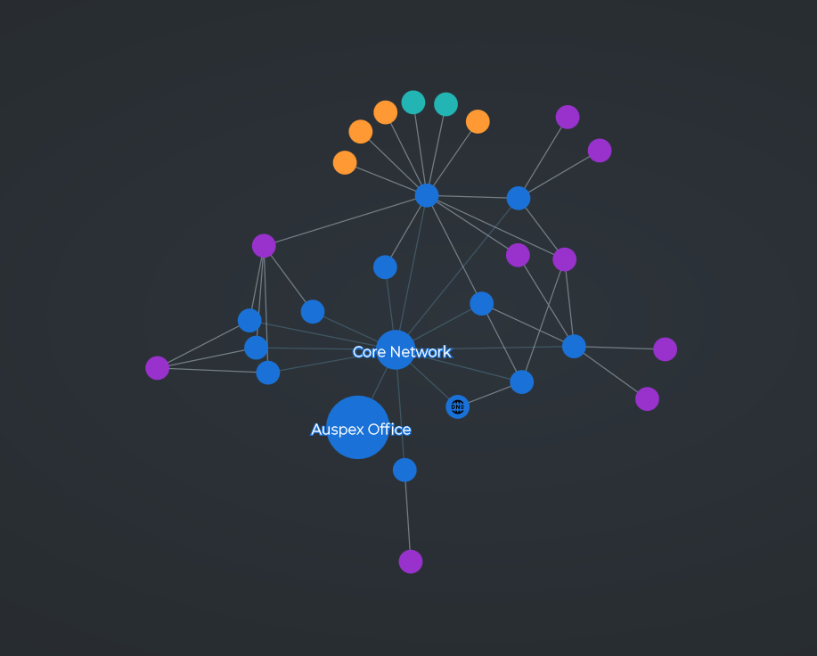A network graph of multicoloured nodes and edges rendered in Auspex Observatory